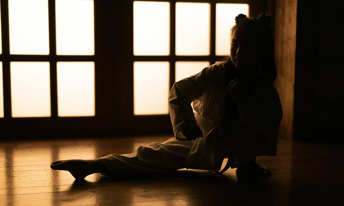 Arti Marziali Pappapronta